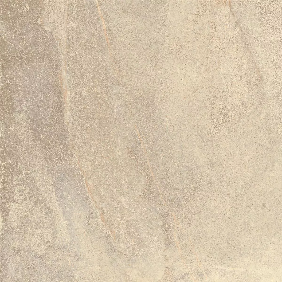 Prøve Gulvfliser Detmold Naturstenoptik 60x60cm Beige