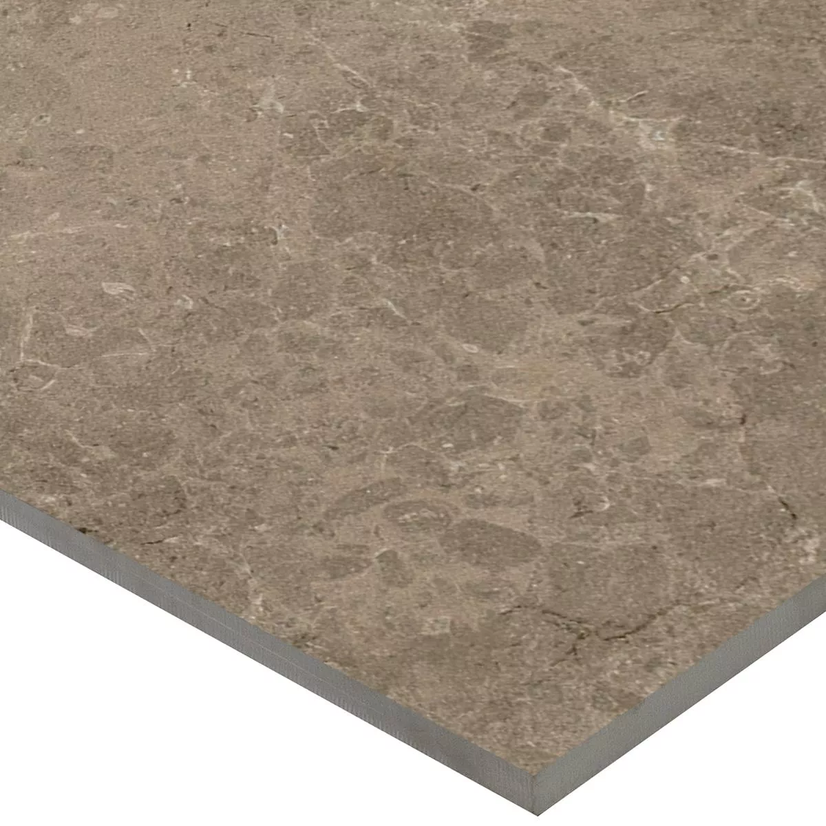 Terrasser Fliser Porcellanato Arizona Taupe 60x60x2 cm