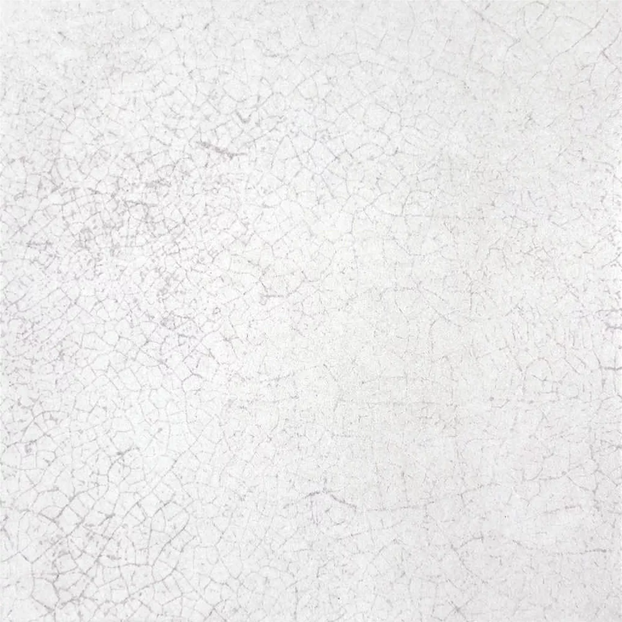 Prøve Gulvfliser Talia Frundlæggende Flise Hvid 18,5x18,5cm