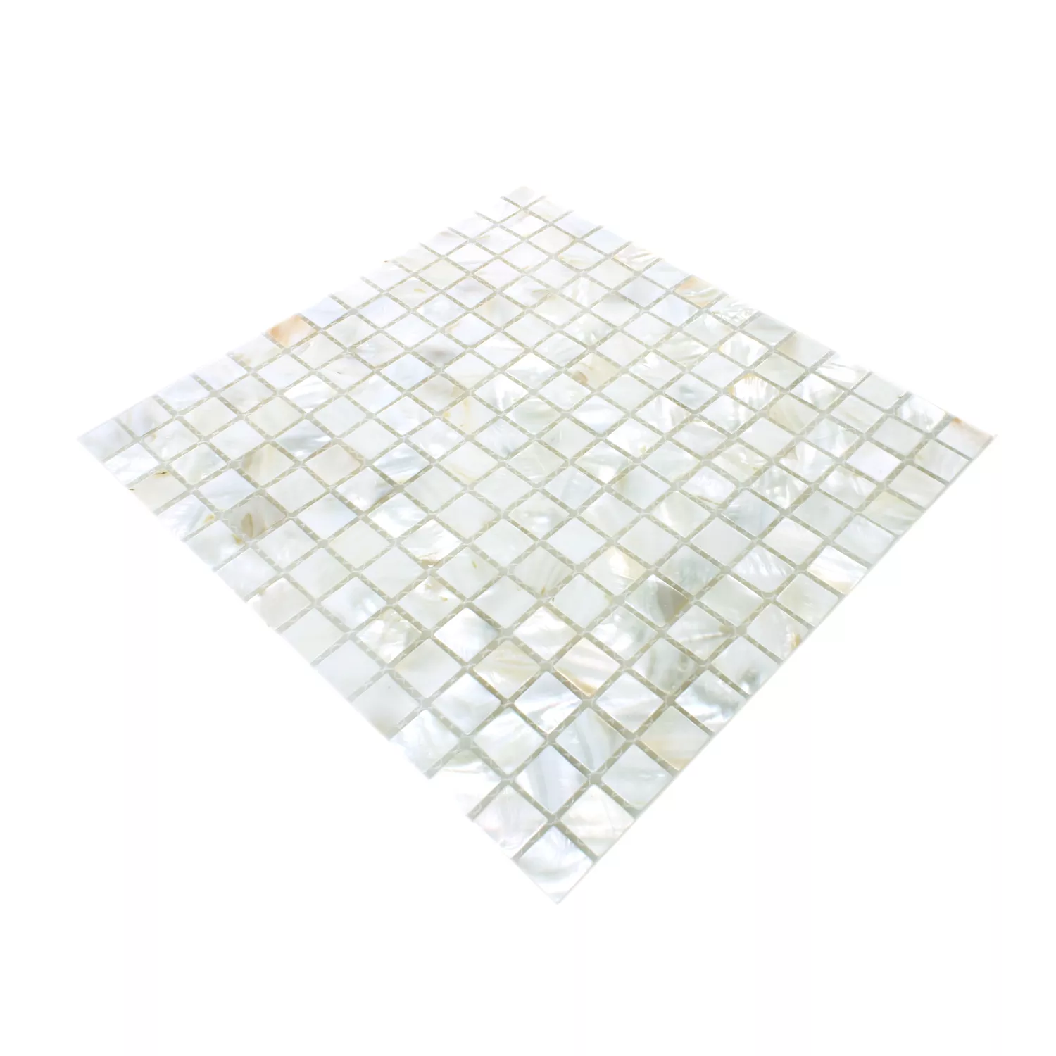 Mosaik Fliser Shell Kordon Hvid