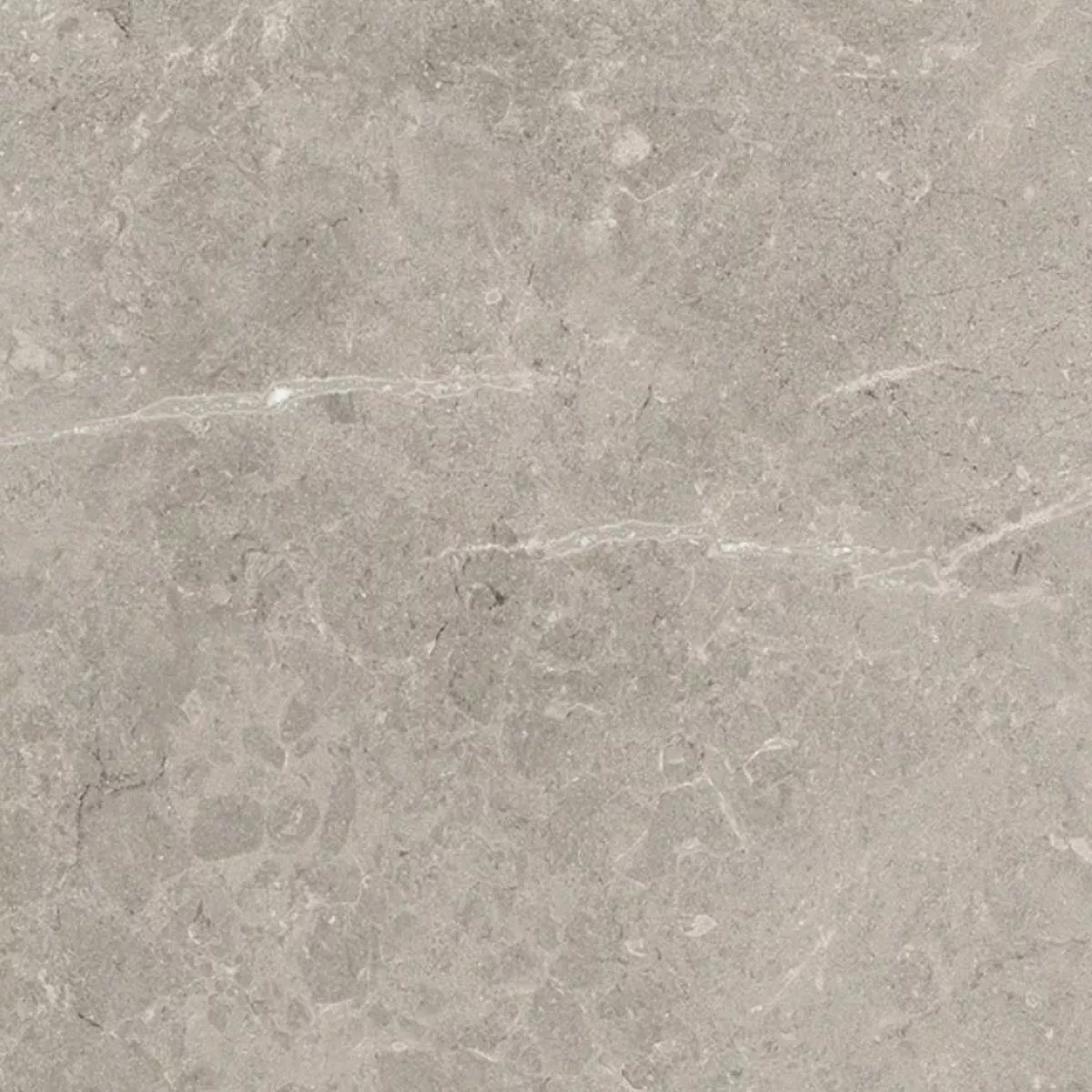 Terrasser Fliser Porcellanato Arizona 60x60x2 cm