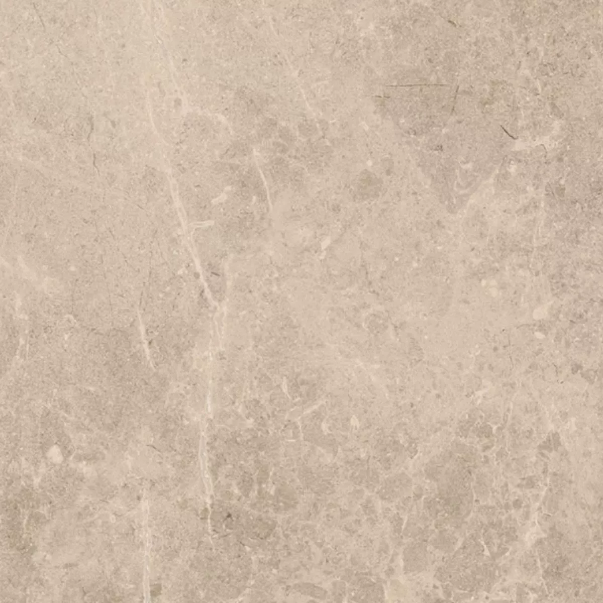 Terrasser Fliser Porcellanato Arizona Beige 60x60x2 cm