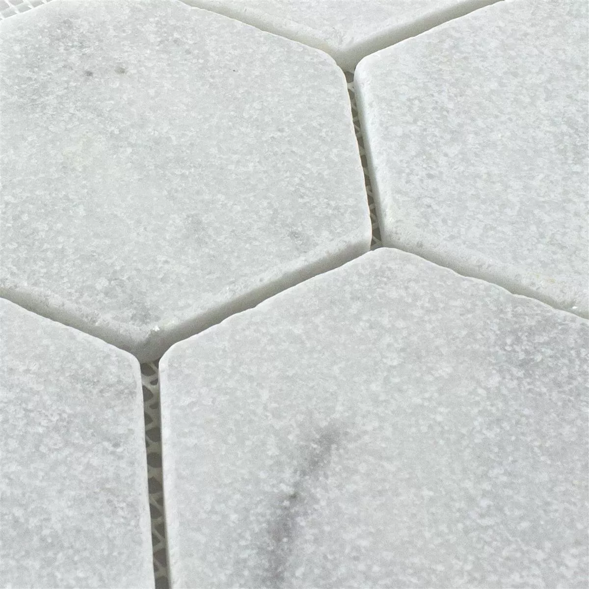 Prøve Marmor Natursten Mosaik Fliser Maracay Sekskant White