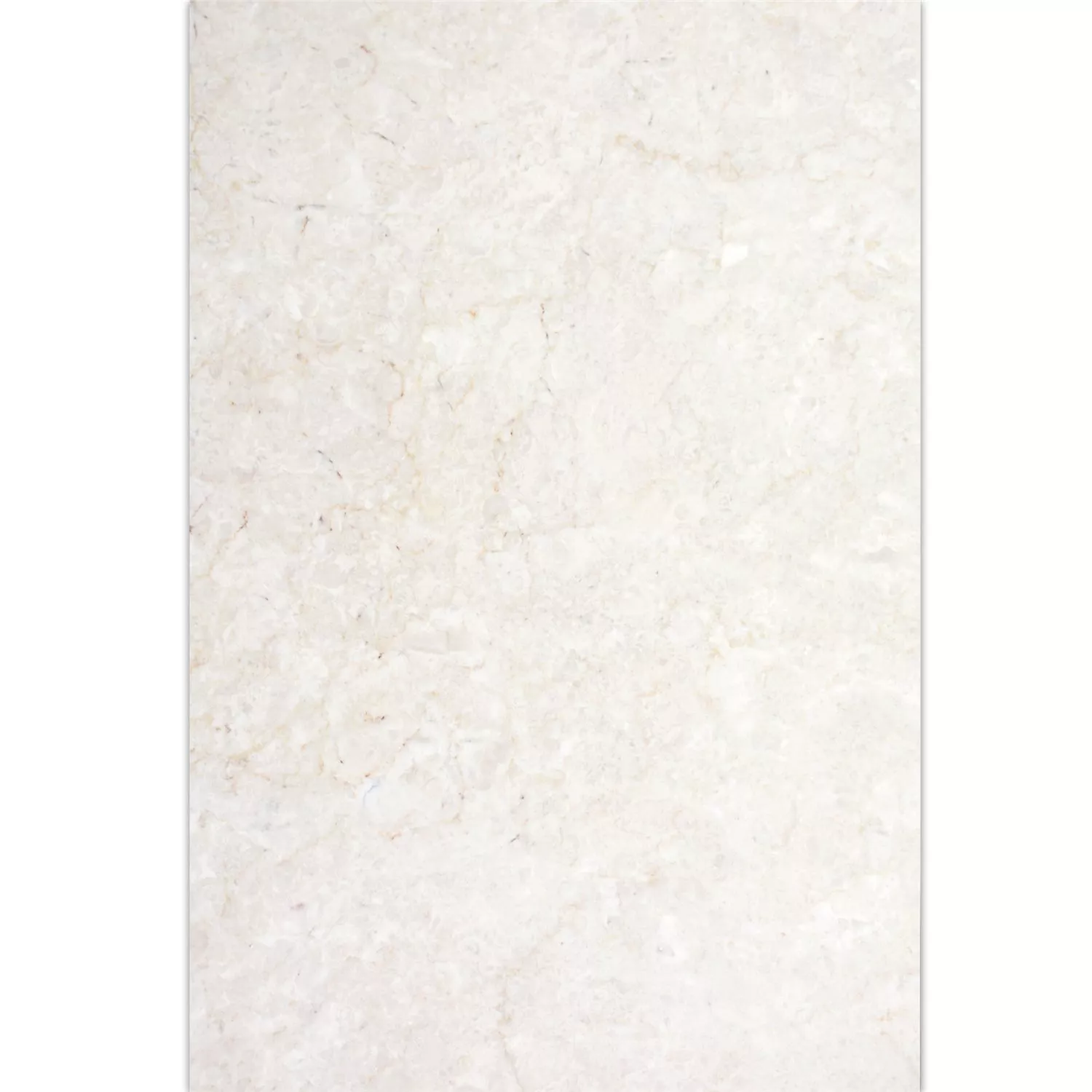 Naturstenfliser Marmor Afyon Beige 40,6x61cm
