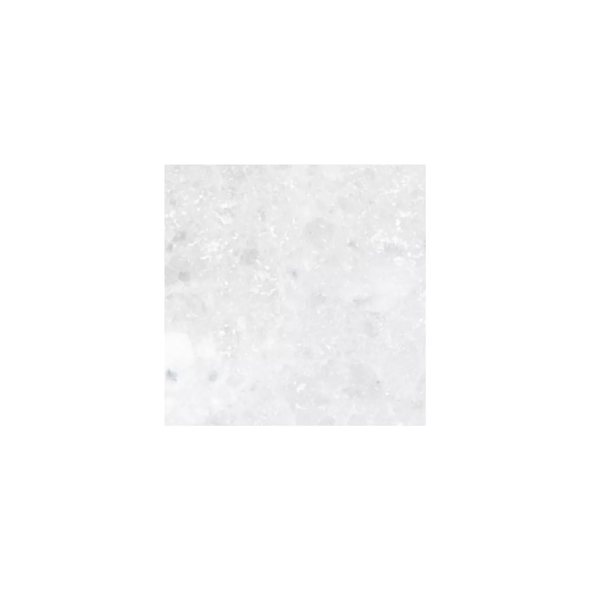 Prøve Naturstenfliser Marmor Treviso Hvid 10x10cm