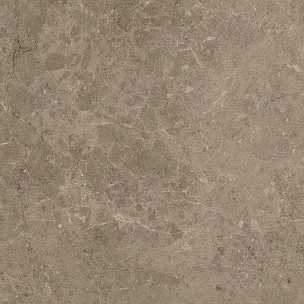 Terrasser Fliser Porcellanato Arizona Taupe 60x60x2 cm