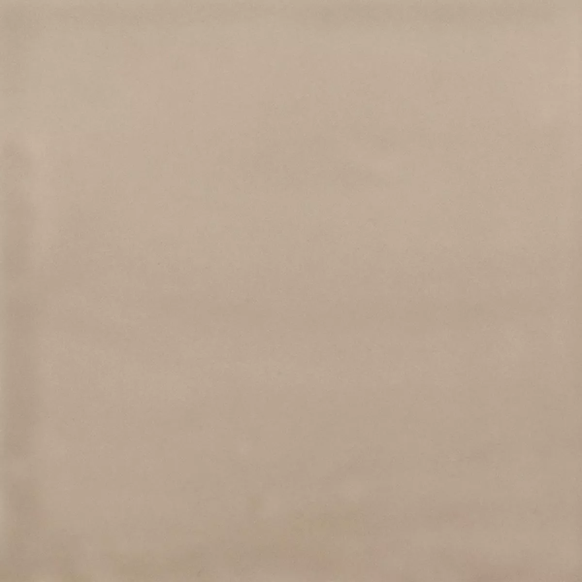 Porcellanato Fliser Ornamenti Frundlæggende Flise Creme Porcellanato Fliser Ornamenti Frundlæggende Flise Creme