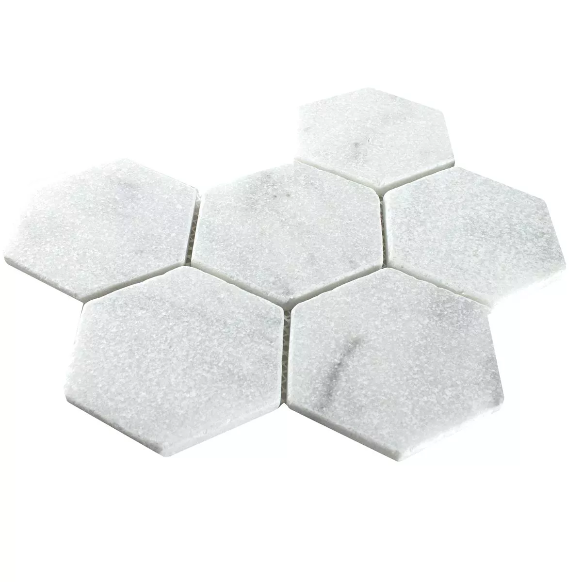 Prøve Marmor Natursten Mosaik Fliser Maracay Sekskant White