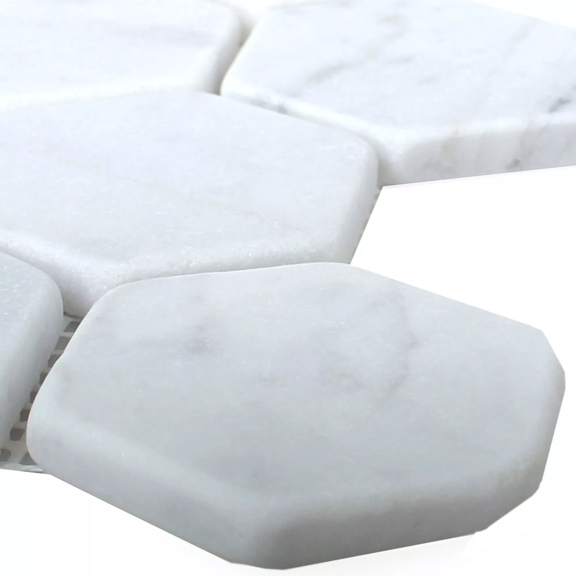 Prøve Mosaikfliser Marmor Wutach Hexagon Hvid Carrara