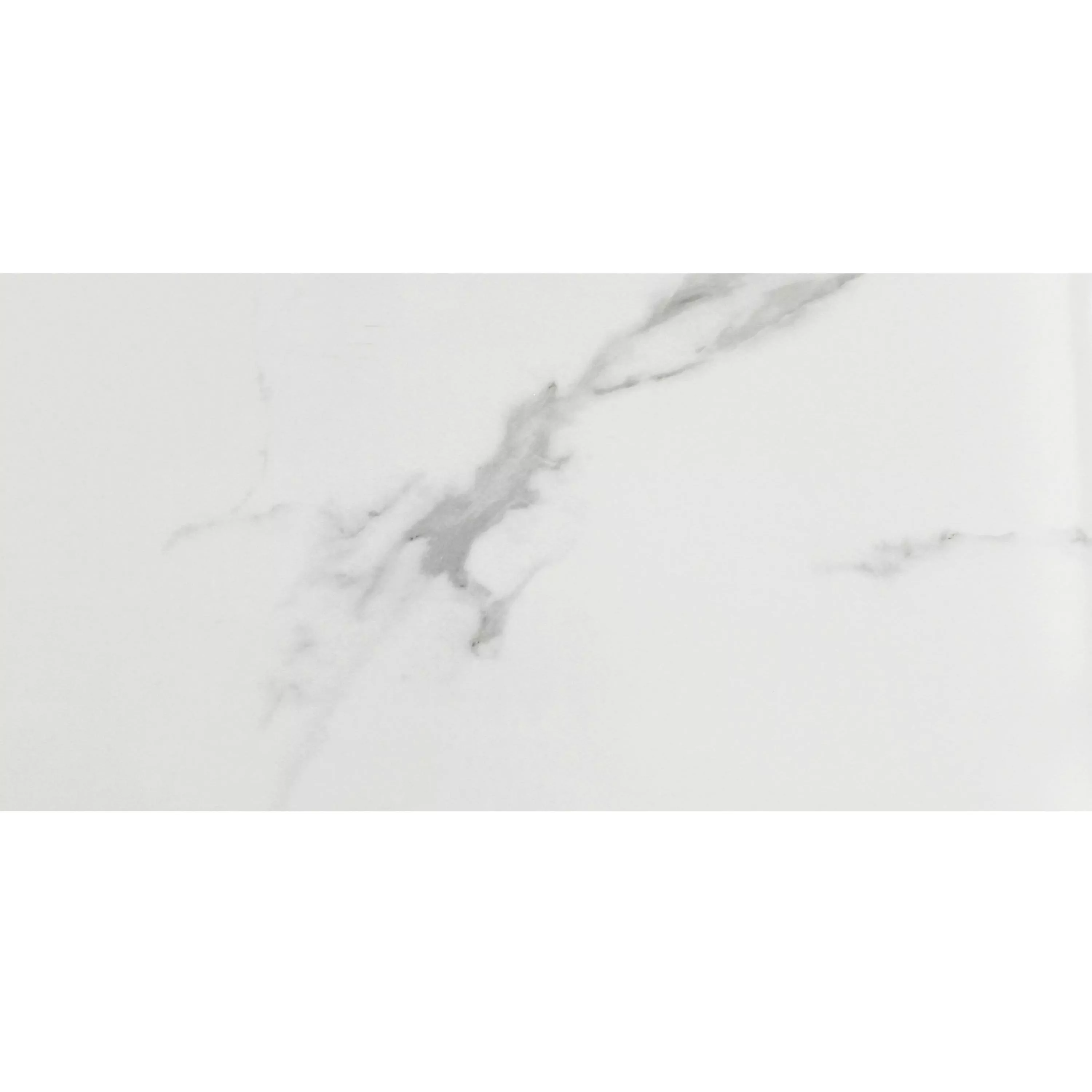 Prøve Gulvfliser Aronia Carrara Poleret 30x60cm