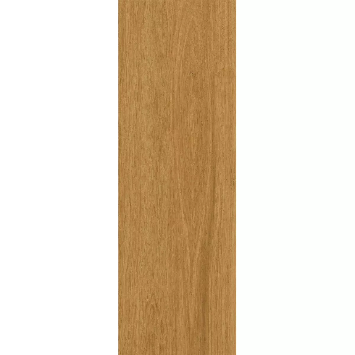 Terrasser Fliser Imiteret Træ TerraLine Honey 40x120 cm