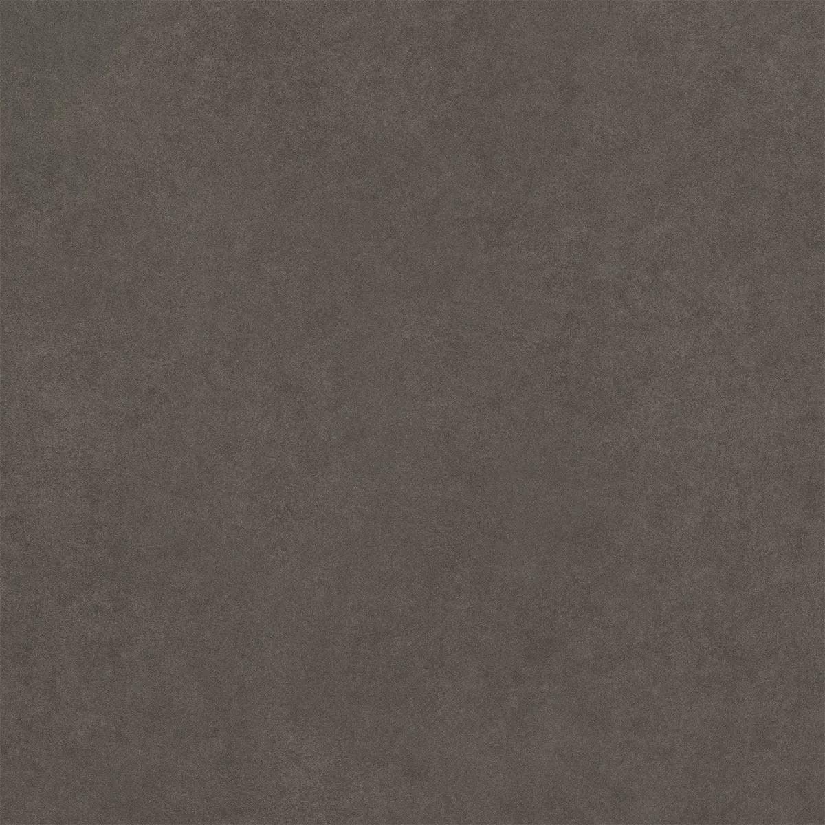 Kolossal Antracit 60x60 cm