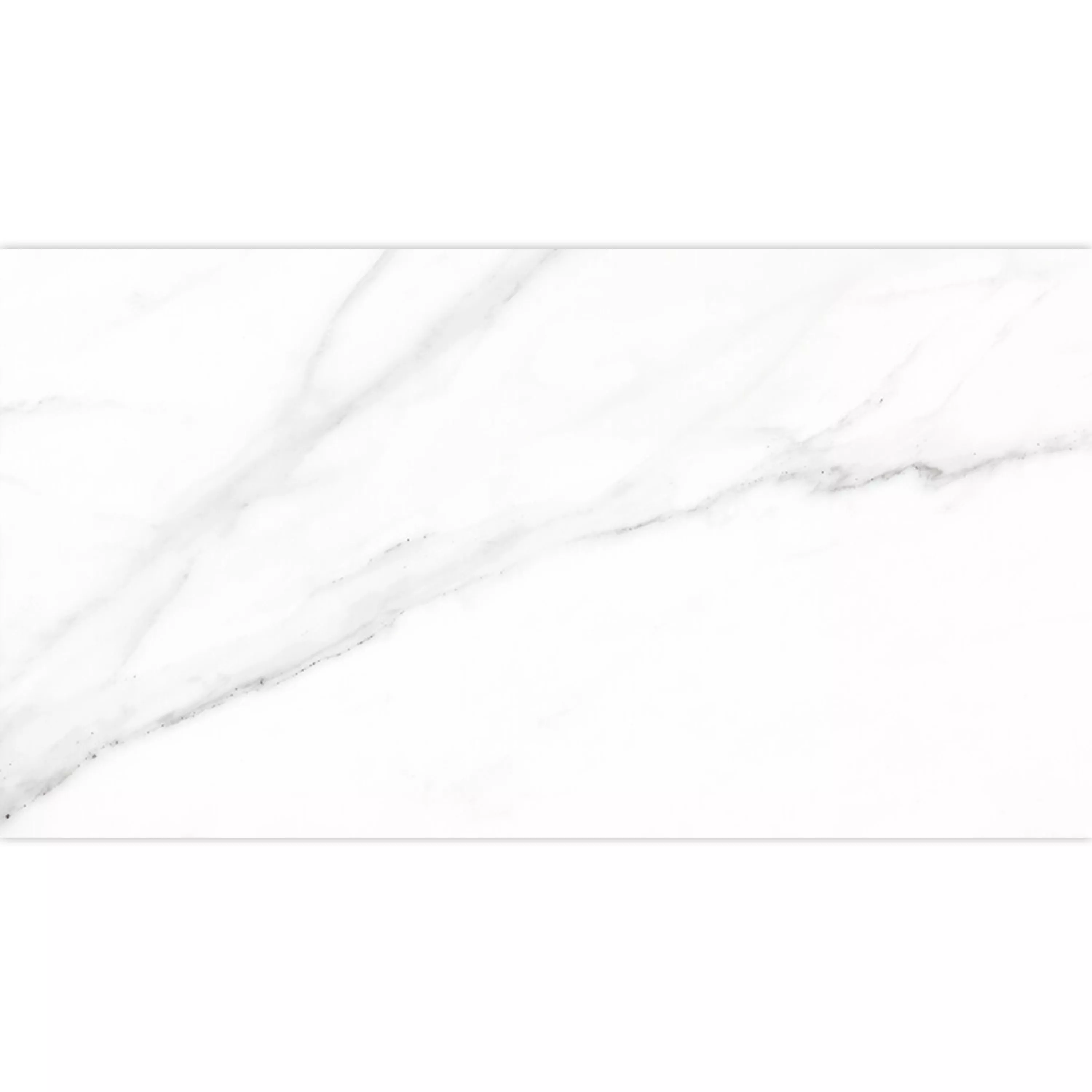 Prøve Gulvfliser Arcadia Marmor Optik Måtte Hvid 30x60cm