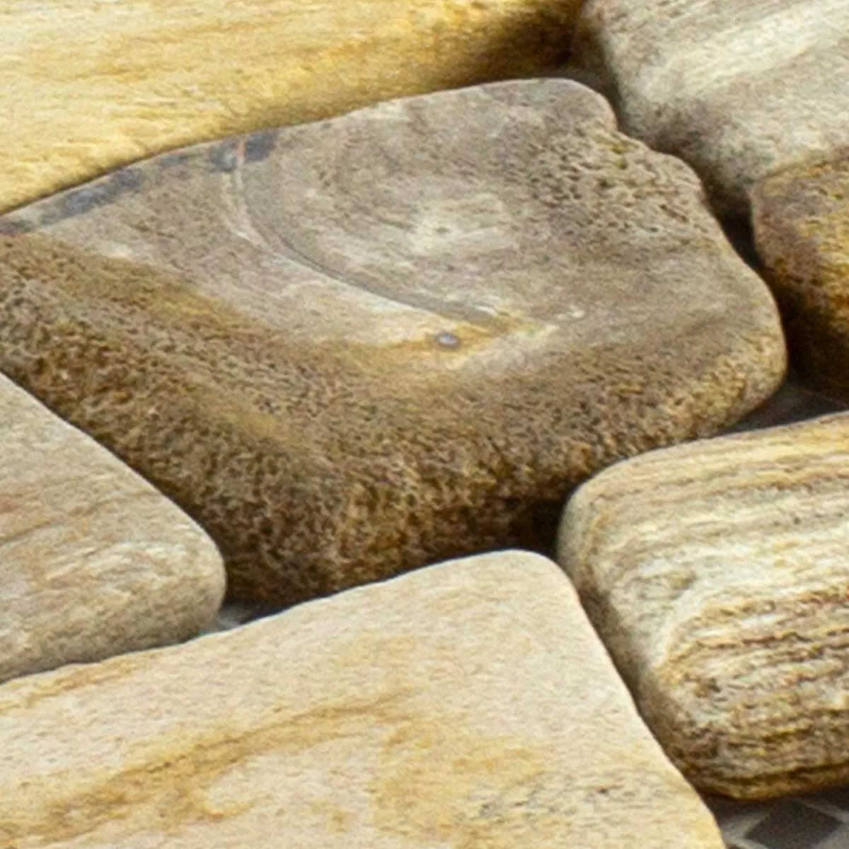 Prøve Marmor Brud Mosaik Fliser Erdenet Brun Beige
