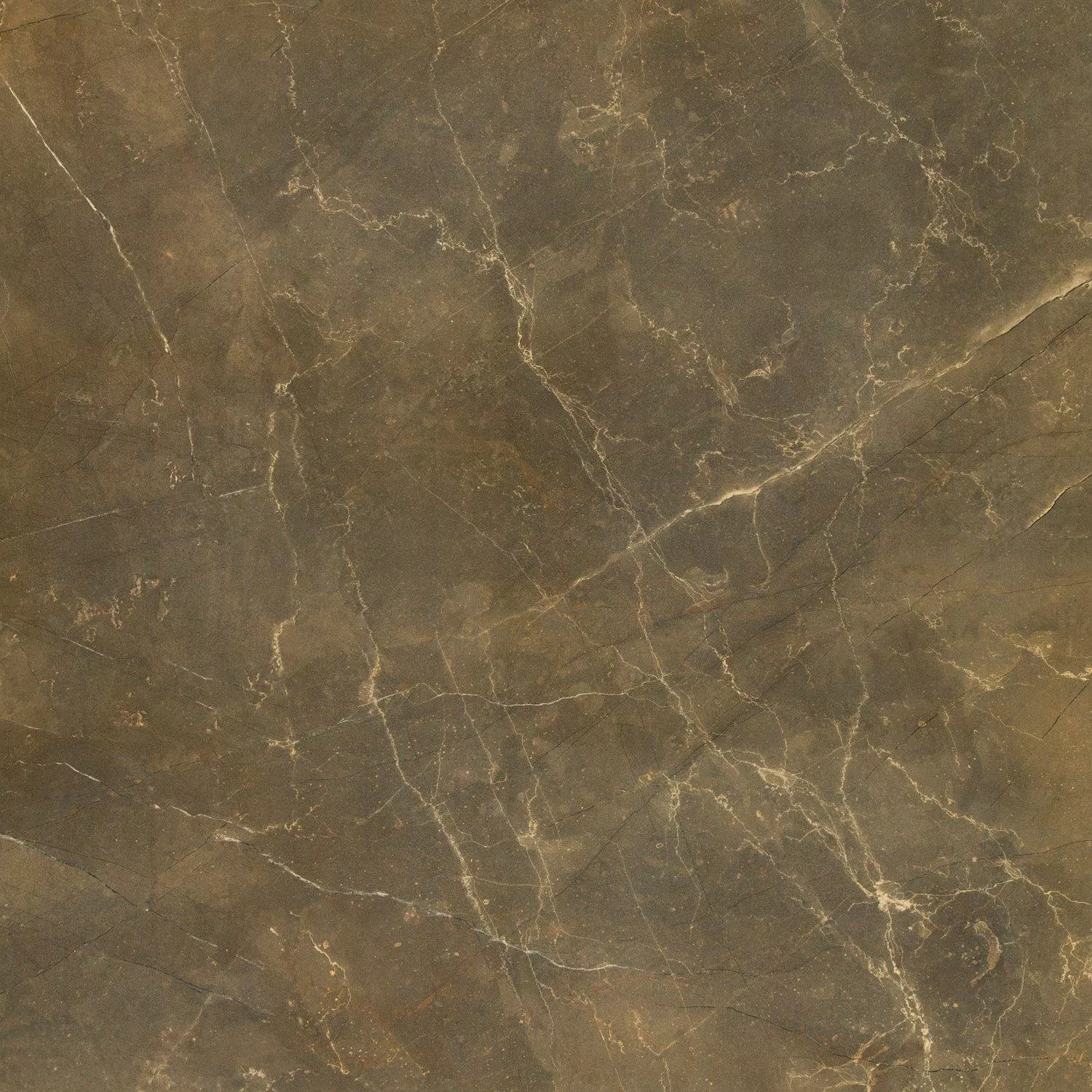 Gulvfliser Marmoroptik Imperial Khaki 80x80cm Gulvfliser Marmoroptik Imperial Khaki 80x80cm