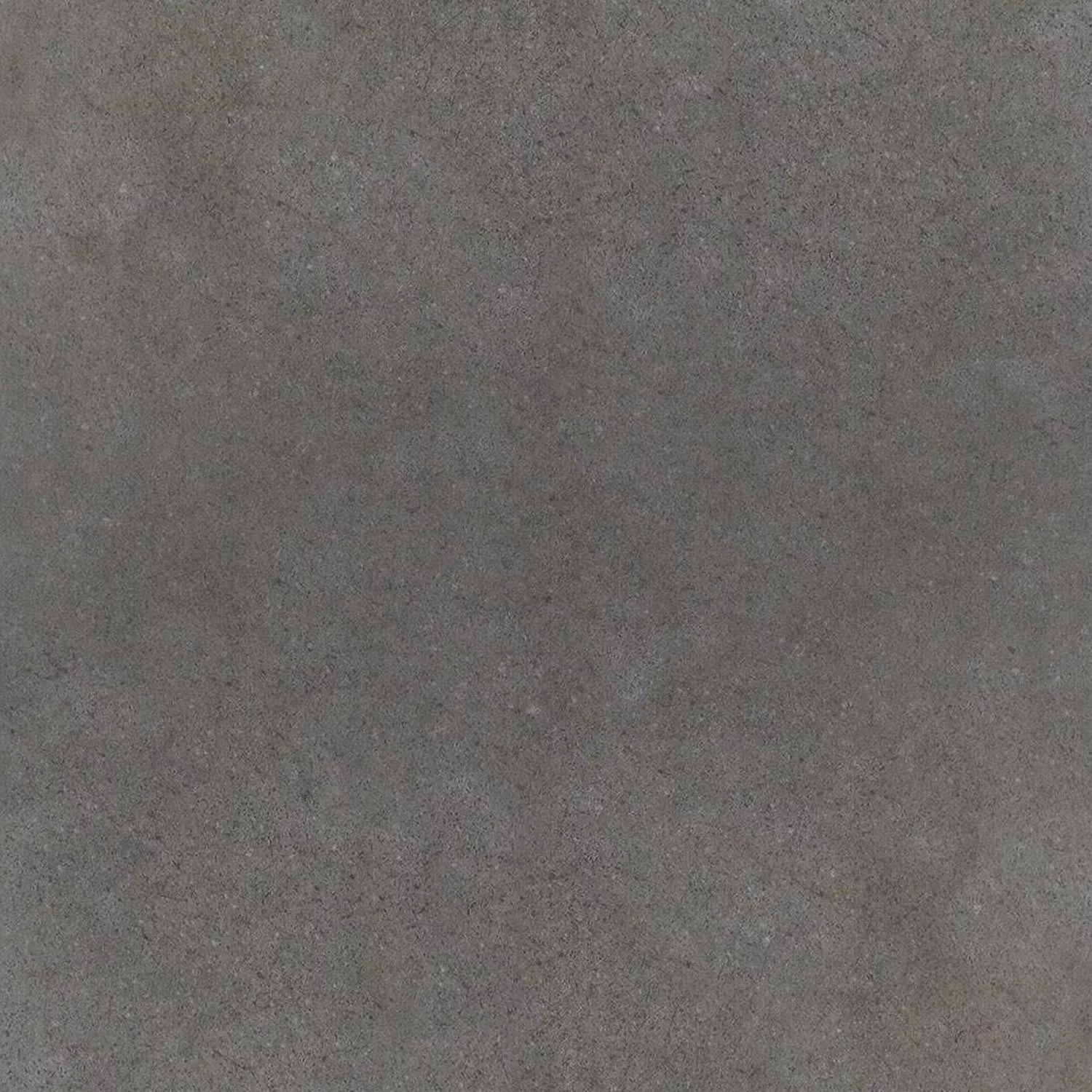 Cement Fliser Optik Gulvfliser Madrid Morkbrun