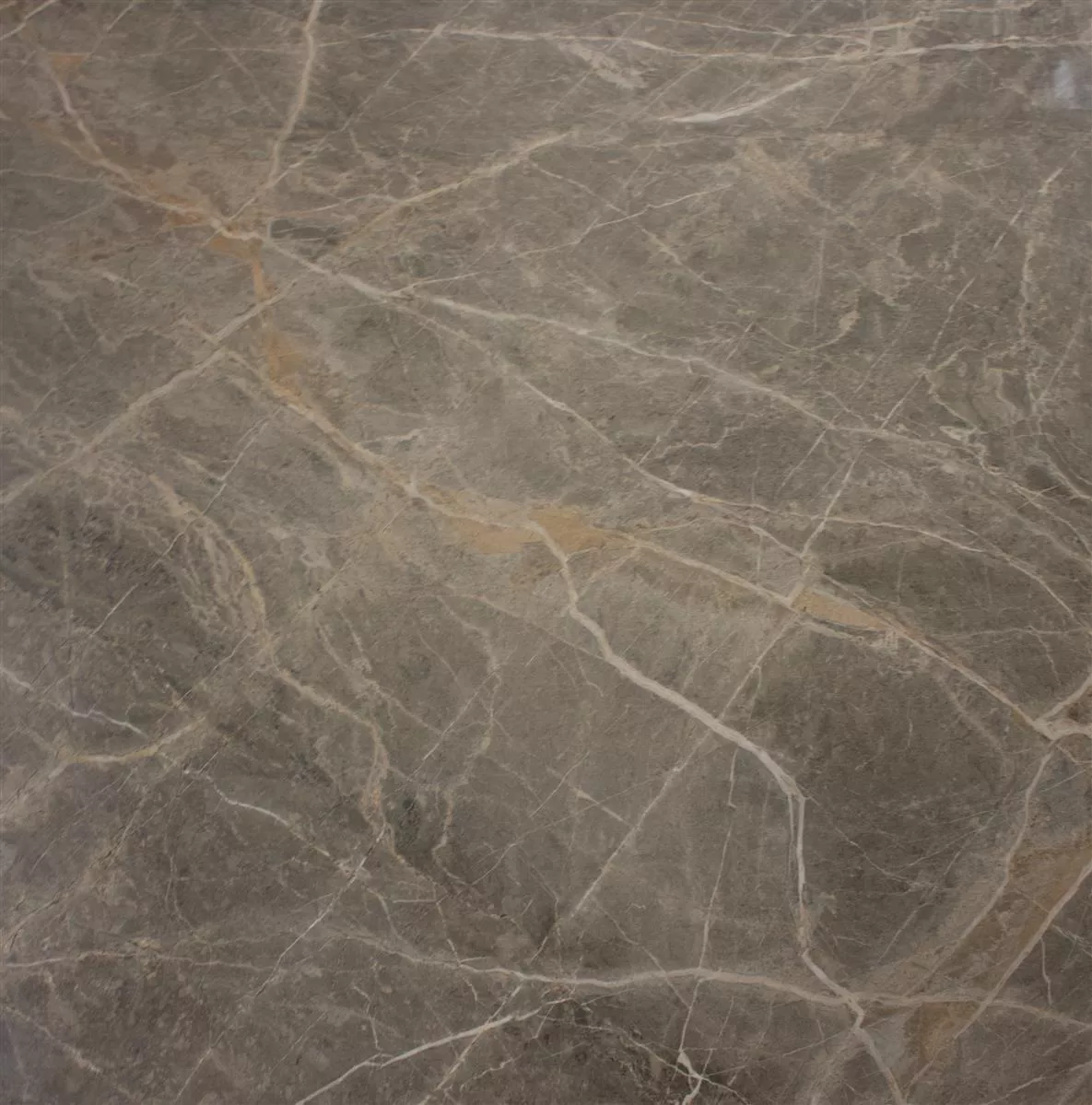 Gulvfliser Zeven Gra Beige Guld Skifer Optik 60x60cm