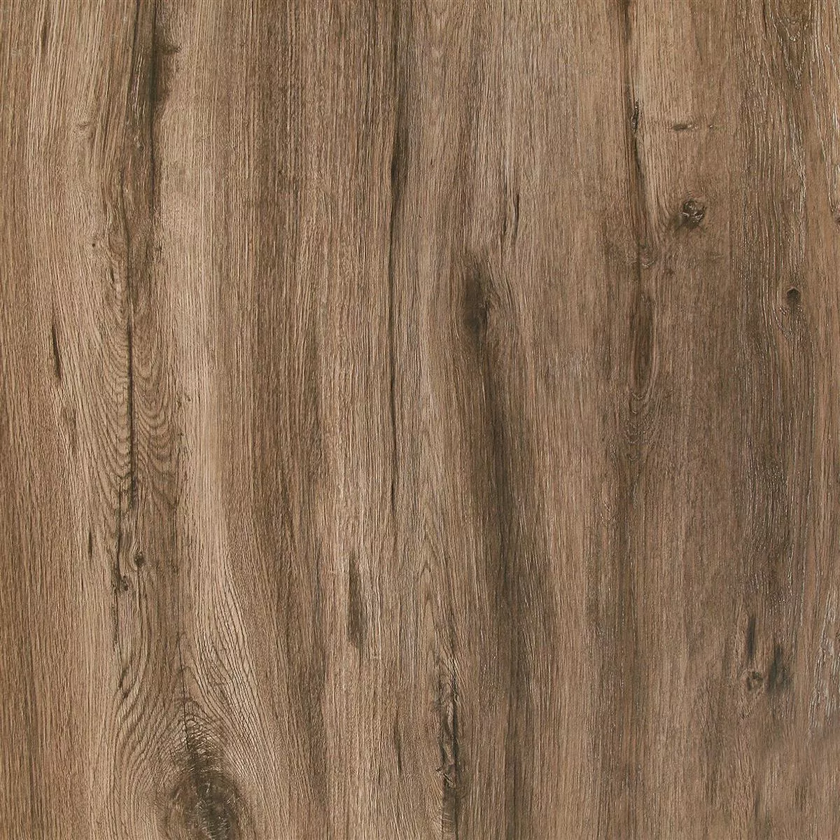Prøve Terrasser Fliser Starwood Imiteret Træ Ebony 60x60cm