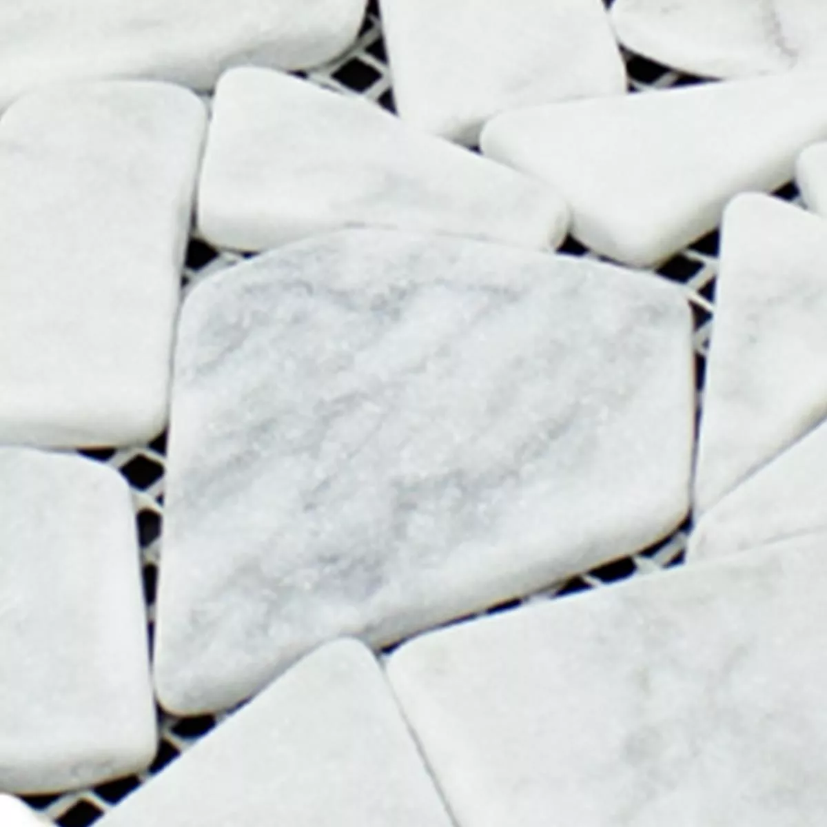 Prøve Marmor Brud Mosaik Fliser Mareblu Carrara Hvid