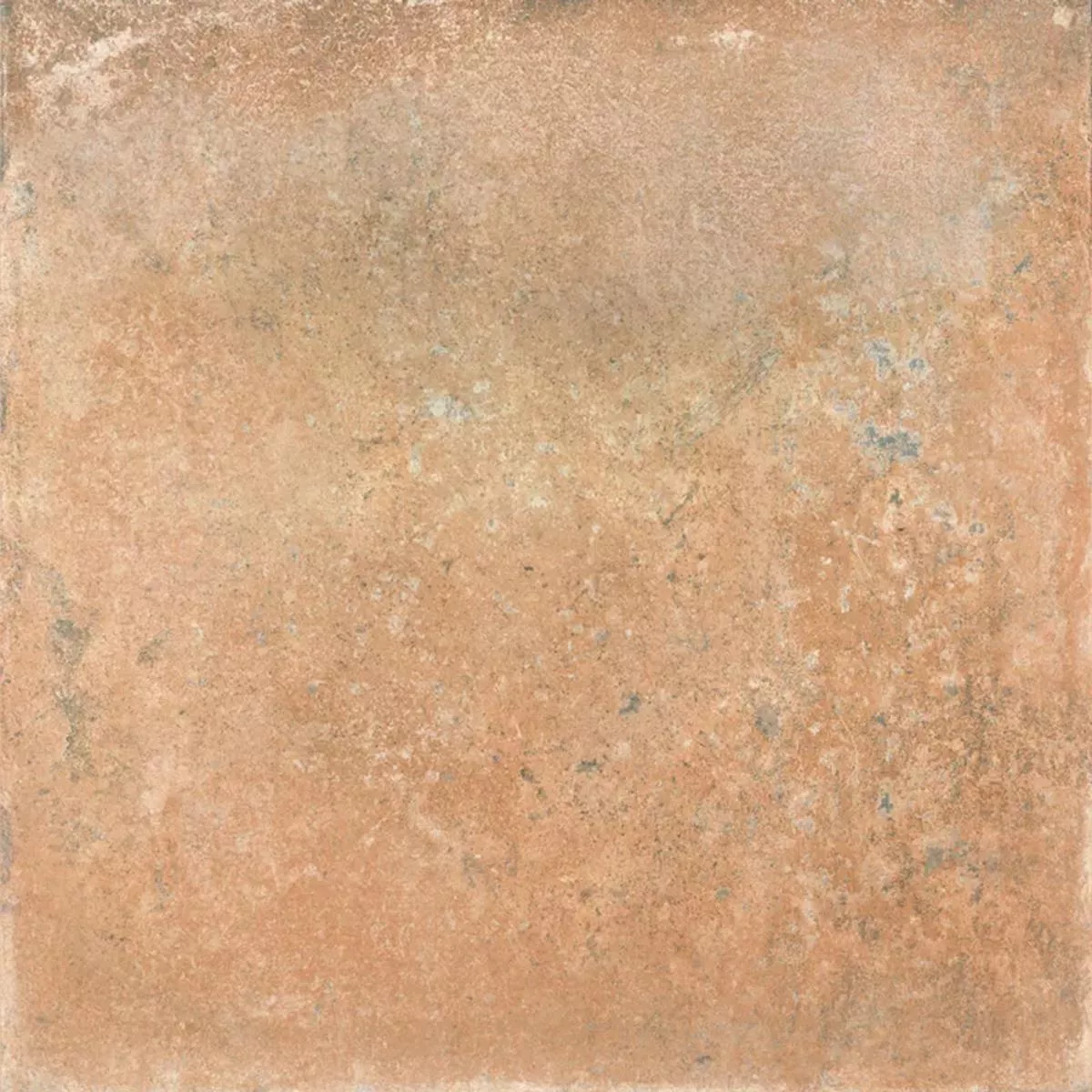 Queens Terracotta Brun 25x25 cm