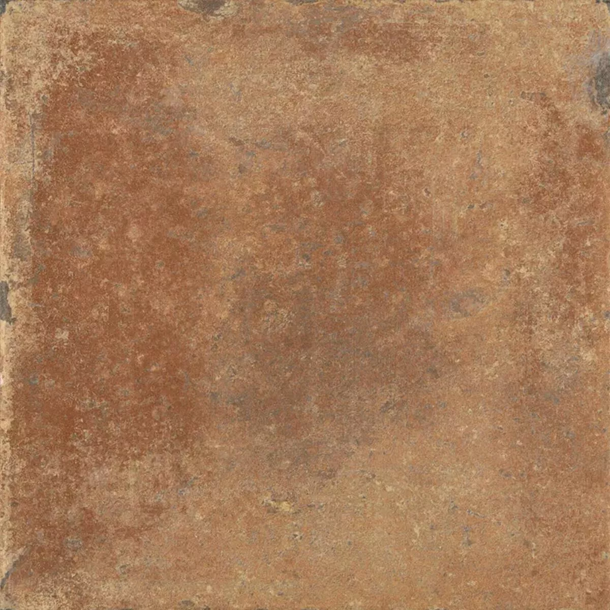 Queens Terracotta Morkbrun 25x25 cm