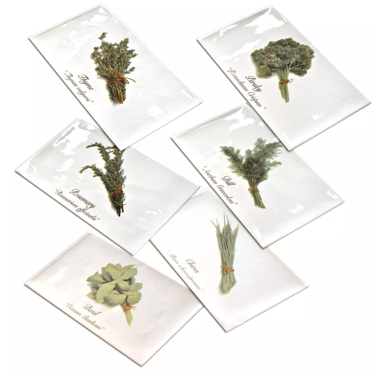 Metro Vægfliser Decor Altea Plante 6er Set